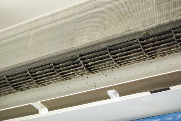 Best Affordable HVAC Duct Cleaning  in Moores Mill, AL